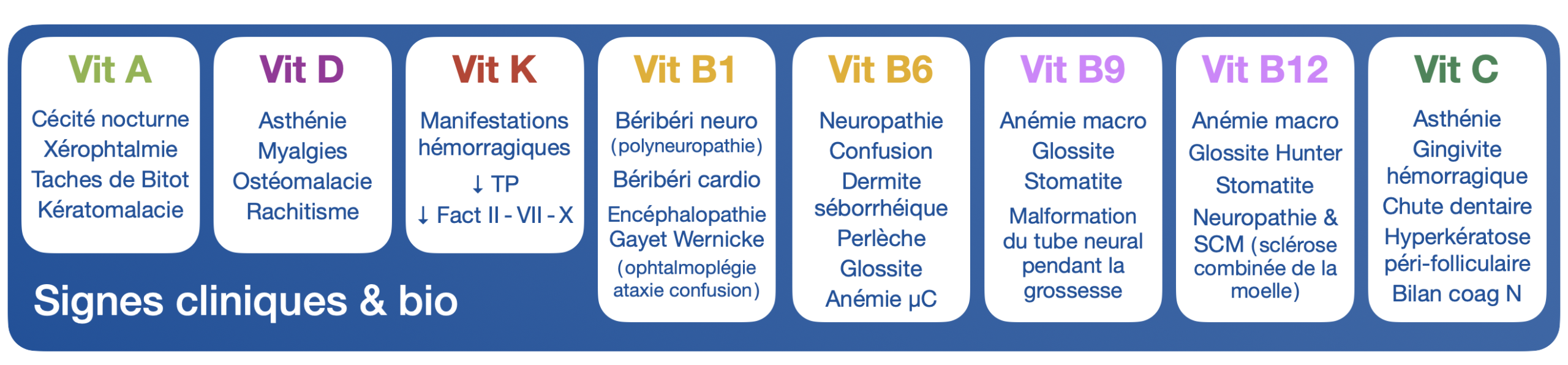 Vitamines MG GD 2