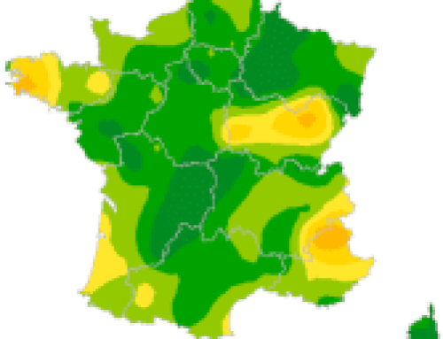 Semaine 202642 – Infection respiratoire aiguë (IRA) – Activité faible en médecine générale