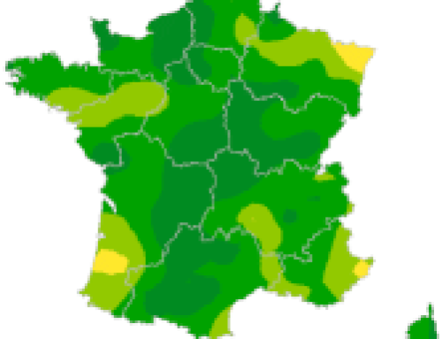 Semaine 202643 – Diarrhée aiguë – Activité faible en médecine générale